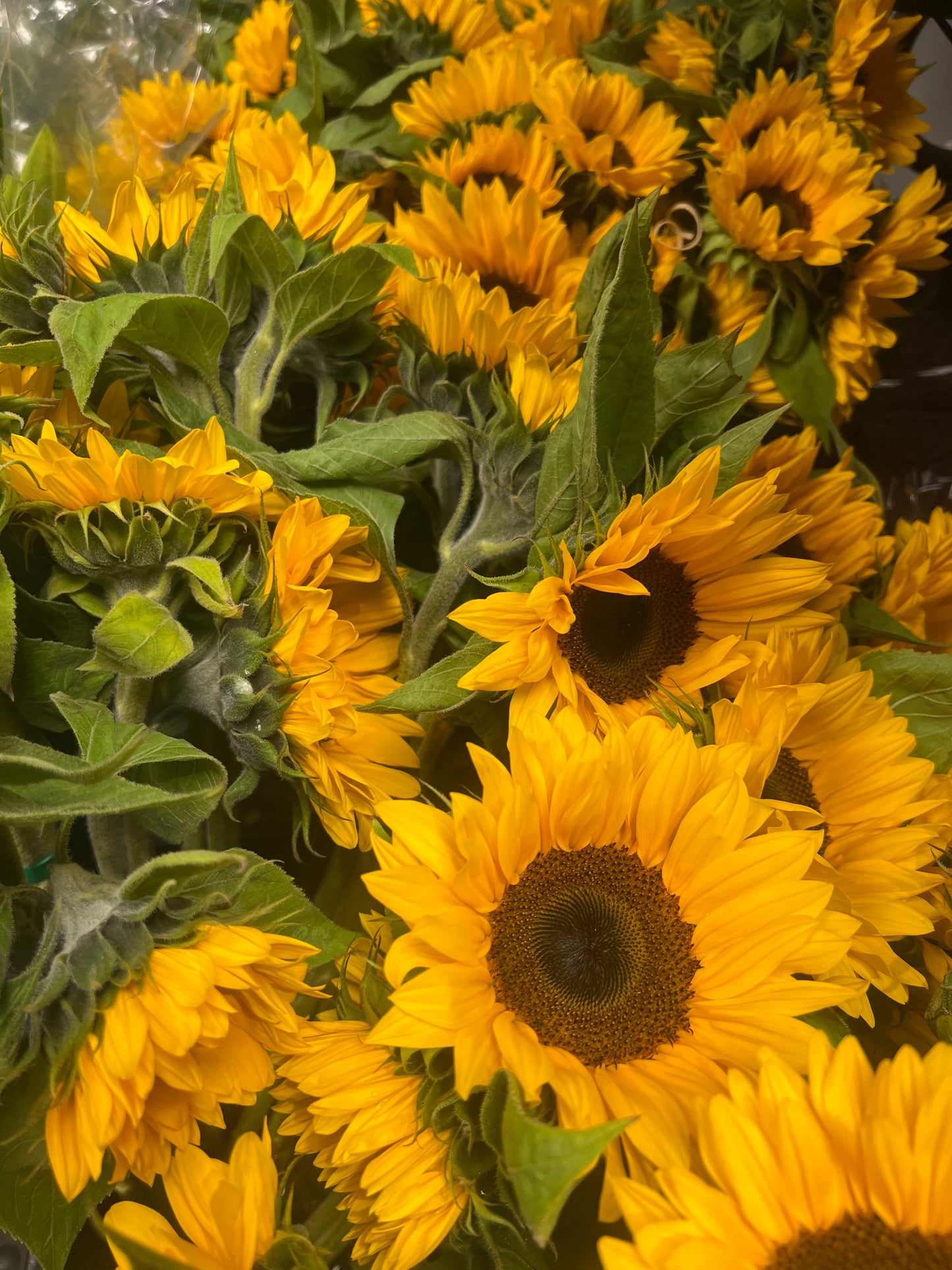 Sunflower sunshine bouquet