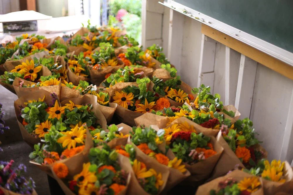 Bouquets of fresh yellow sunflowers and orange marigolds wrapped in brown paper inside a bright rustic shop in Christchurch