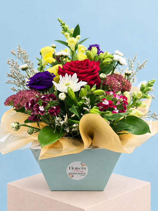 Stunning Pot box bright