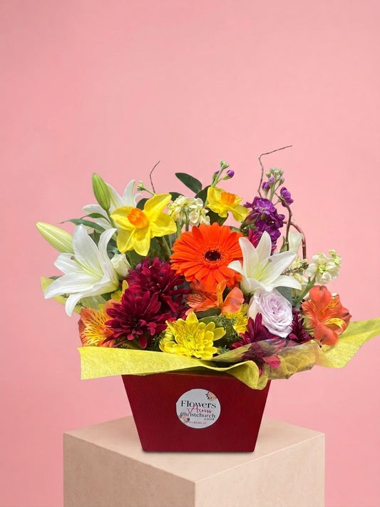 Stunning Pot box bright