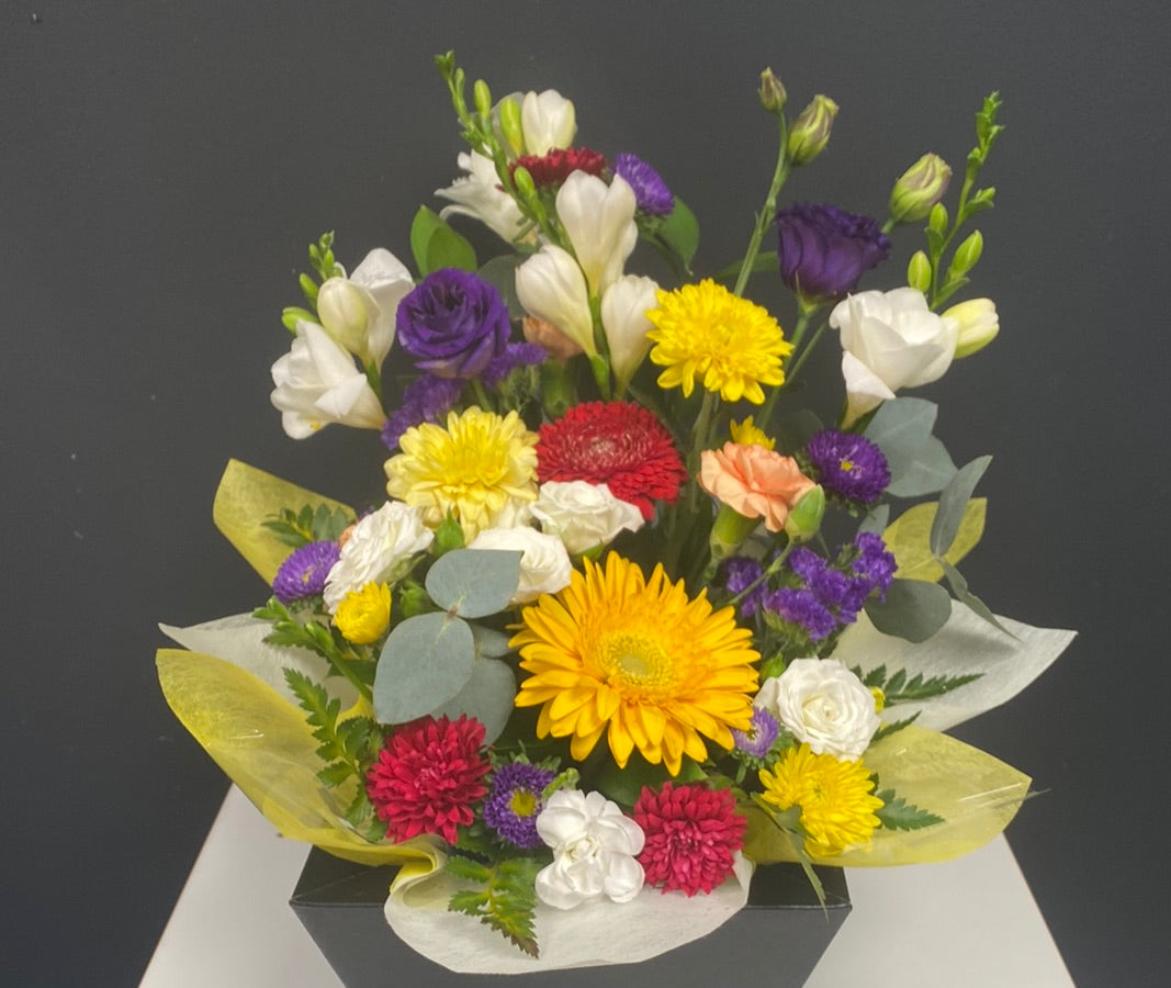 Stunning pot box bright